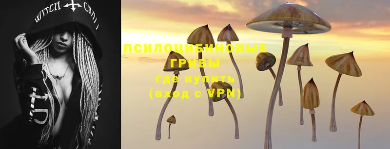 что такое   Нижний Ломов  Псилоцибиновые грибы Magic Shrooms 